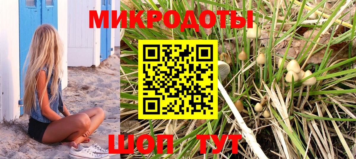 Галлюциногенные грибы Psilocybe Ярославль