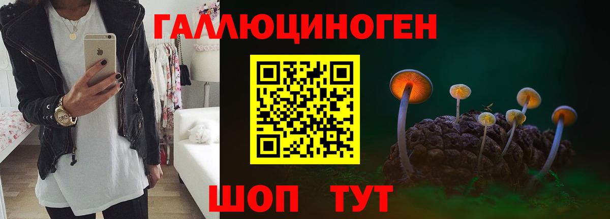 Ярославль  Псилоцибиновые грибы GOLDEN TEACHER  Вход с VPN 